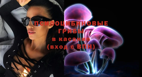 дживик Алексин