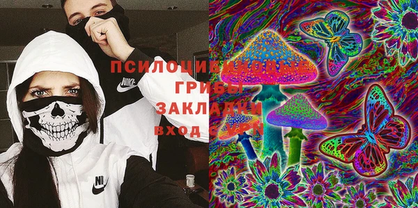 гашик Аркадак